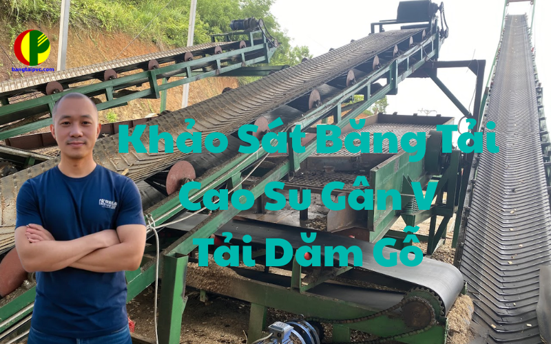 Hệ Thống Băng Tải Gân V Tải Dăm Gỗ